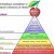 Maslow’s Hierarchy Completed!