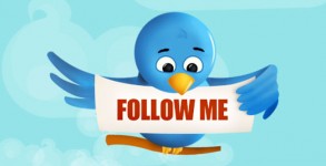Twitter Follow Me
