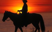 Cowboys.com Now a Gay Dating Site