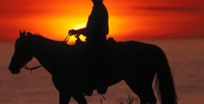 Cowboy