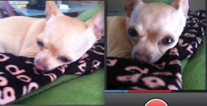 vine-vs-instagram 2