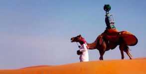 Google Camel Cam